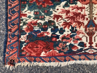 Antique Caucasian seichour rug. The usual wild and crazy field but in an unusually large size. Good weave with blanket like handle. Overall even low pile with heavy brown oxidation and scattered  ...