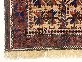 Antique camel ground Baluch prayer rug. You have seen the rest now check out the best. Seriously, overall terrific drawing and good condition with a little as expected brown oxidation. First rate  ...