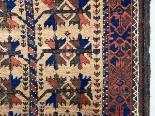 Antique camel ground Baluch prayer rug. You have seen the rest now check out the best. Seriously, overall terrific drawing and good condition with a little as expected brown oxidation. First rate  ...