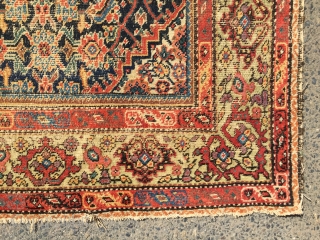 What remains of a genuine antique Persian ferrahan rug. Thin with overall very low pile. Tears, holes and scattered old repairs as shown. Pretty apple green border. Not restorable, good for patches  ...