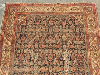 What remains of a genuine antique Persian ferrahan rug. Thin with overall very low pile. Tears, holes and scattered old repairs as shown. Pretty apple green border. Not restorable, good for patches  ...