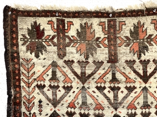 Antique small Baluch rug. Uncommon older ivory ground example. Interesting archaic field design I have not seen before as well as a dramatic design shift surprisingly at the top end. Unusual all  ...
