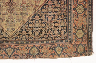 antique senneh rug. Elegant classic. Just picked locally. "as found", very dirty with low pile and some minor wear as shown. No rot, folds easily. Not in the best condition but still  ...