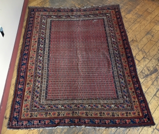 Antique Afshar rug with an unusual field design. Pretty border. All good colors. Thin with low even pile. Few small holes in field. Storage clean out priced. Late 19th c. 4'7" x  ...