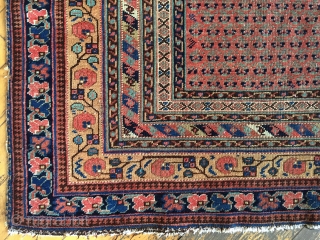 Antique Afshar rug with an unusual field design. Pretty border. All good colors. Thin with low even pile. Few small holes in field. Storage clean out priced. Late 19th c. 4'7" x  ...