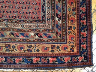 Antique Afshar rug with an unusual field design. Pretty border. All good colors. Thin with low even pile. Few small holes in field. Storage clean out priced. Late 19th c. 4'7" x  ...