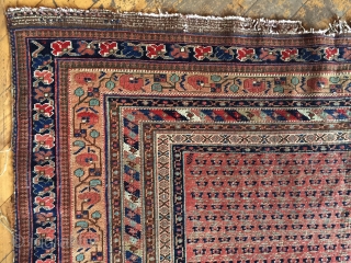 Antique Afshar rug with an unusual field design. Pretty border. All good colors. Thin with low even pile. Few small holes in field. Storage clean out priced. Late 19th c. 4'7" x  ...