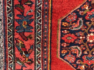 Lovely little Bidjar rug with excellent color and tight high pile. Usual thick bidjar construction. Overall very good condition with original selvages and secured ends. High quality little rug. Reasonably clean. Early  ...
