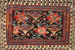 Afshar bagface. Desirable iconic design field with a charming border. All natural colors. Good pile. Nice original closure tabs. Clean and ready for your collection. 24" x 29"     
