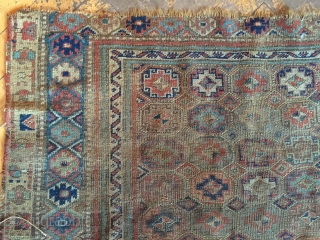 Antique kurd bidjar rug. As found, very dirty with heavy wear, old moth and scattered damage as shown. Storage clean out nearly done. 19th c. 3'10" x 6'4"     