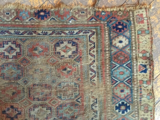 Antique kurd bidjar rug. As found, very dirty with heavy wear, old moth and scattered damage as shown. Storage clean out nearly done. 19th c. 3'10" x 6'4"     