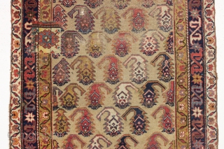 Antique northwest persian long rug. Nice border. "as found", with great natural colors. High quality. Very diry. Single wefted. Good age, ca. 1875 or earlier. 3'8" x 8'9"     