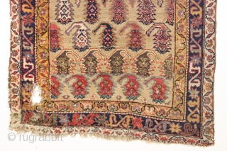 Antique northwest persian long rug. Nice border. "as found", with great natural colors. High quality. Very diry. Single wefted. Good age, ca. 1875 or earlier. 3'8" x 8'9"     