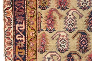 Antique northwest persian long rug. Nice border. "as found", with great natural colors. High quality. Very diry. Single wefted. Good age, ca. 1875 or earlier. 3'8" x 8'9"     