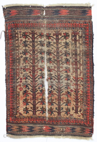 antique little camel ground baluch rug with tree elements and some unusual red dotting. I've never seen this before. Unfortunately this rug ran into a buzz saw and is nearly cut in  ...