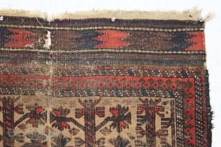 antique little camel ground baluch rug with tree elements and some unusual red dotting. I've never seen this before. Unfortunately this rug ran into a buzz saw and is nearly cut in  ...