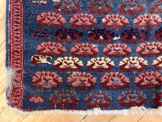 Out of the cedar chests. Early Caucasian kuba zeichour rug with classic carnation field. As good color as I have seen in this under appreciated type. Far from perfect condition. Mid 19th  ...