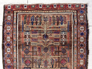 Out of the cedar chests (yes Baluchis in there). Uncommon potted tree design. Lovely natural colors including leaves light blues, deep reds and several nice natural browns. Turkish knotted. Attractive cloth like  ...