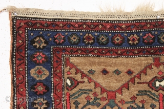 antique nw persian or kurdish camel ground rug. Interesting slightly eccentric variation of classic shrub design. Mostly good thick pile, couple small hard to see old sewn up spots. Good colors. Clean.  ...