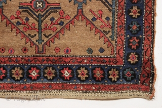 antique nw persian or kurdish camel ground rug. Interesting slightly eccentric variation of classic shrub design. Mostly good thick pile, couple small hard to see old sewn up spots. Good colors. Clean.  ...