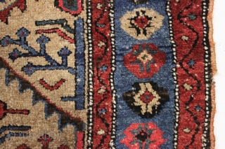 antique nw persian or kurdish camel ground rug. Interesting slightly eccentric variation of classic shrub design. Mostly good thick pile, couple small hard to see old sewn up spots. Good colors. Clean.  ...