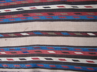 graet colors shasavan fine kilim 170/250 mint condition, circa 1880 cemel filied rare size, very nice  ,ship free              