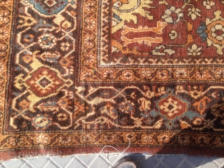 Rare colors (Hagi)antiqu Mahal rug275/350  mid 19c no repair nice colors .shipfree                    