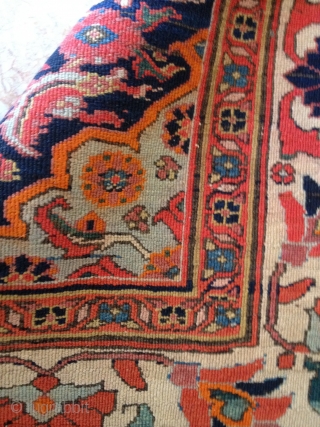horse cover late 19 ch made in iran dorokhsh  very rare ship free                   