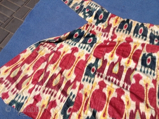 Ikat gomaha Uzbek 7 colors 3q19ch nice  colors sheep free                      