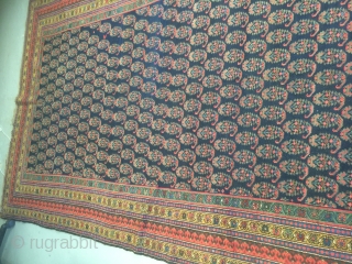 5-8x21-6 excellent condition antique Kurdish Rug
Wool on wool                         
