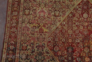 Sine - İran 
wool on cotton , 140 years 
196x141 cm                      