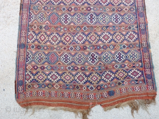 Kurdish flatweave 19th c. (290cm x 170cm).                          