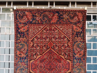 Old and colorful unusual Malayer rug (200 cm x 130 cm)
Cristal clear colors including a nice green , blue and aubergine, heavily abrashed, overall good condition. Luxuriant boteh border, some small birds  ...