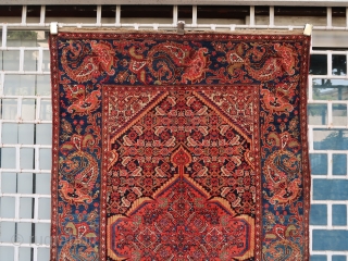 Old and colorful unusual Malayer rug (200 cm x 130 cm)
Cristal clear colors including a nice green , blue and aubergine, heavily abrashed, overall good condition. Luxuriant boteh border, some small birds  ...