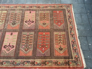 Xinjiang rug, it was produced in Khotan area Xingjiang province , very late Qing Dynasty, circa 1915. Very rare pattern . Good age and condition. Size 145*272cm(57*106”)      