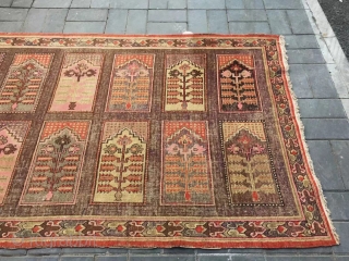 Xingjiang rug, it produced in  Xinjiang Khotan, Very rare Muslim worship rug  for worship. Good age and no any repair. Size 145*272cm(57*106”)         