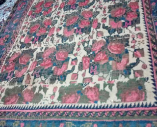 Antique senneh rug Rose pattern from 1900-1920.
size: 133*200 cm
from a private collection and in good condition.
vegetable colours.                