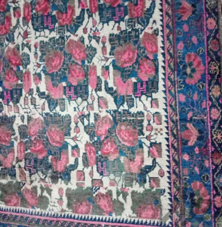 Antique senneh rug Rose pattern from 1900-1920.
size: 133*200 cm
from a private collection and in good condition.
vegetable colours.                