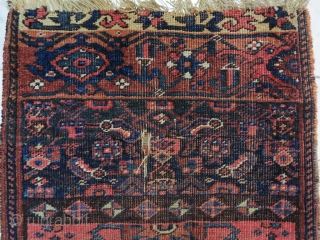 Garrous Bijar ornak ( vagireh ) wool on wool size:57 x 56 cm age: about 130 years old price:POR              