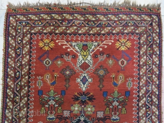 A beautiful Nasrabad Bakhtiari with gret design wool on wool size: 234 x 125 age: 1916 price: POR
               