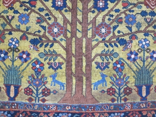 A beautiful Afshar and nice color but with great Neyriz design wool on wool  size: 194 x 162 price: POR SOLD
           