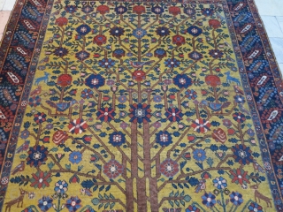 A beautiful Afshar and nice color but with great Neyriz design wool on wool  size: 194 x 162 price: POR SOLD
           