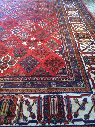 Antique Josheghan Persian Rug

Over 50-60 year old persian rug. 
Handknotted, vegetable dyes.

Size- 8'x11'                    