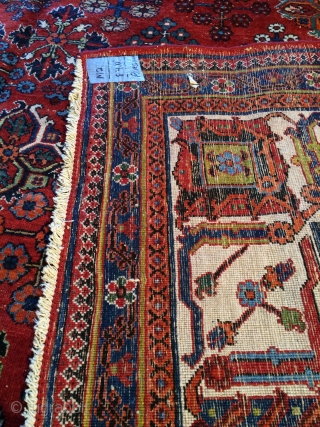 Antique Josheghan Persian Rug

Over 50-60 year old persian rug. 
Handknotted, vegetable dyes.

Size- 8'x11'                    