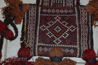 a beautiful salt beg balouch in a very good condition with natural colours. the size is 45 x 25 cm. for more informations, please contact me       