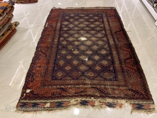 Baluch Carpet 
Size: 165 x 240 cm 
                         