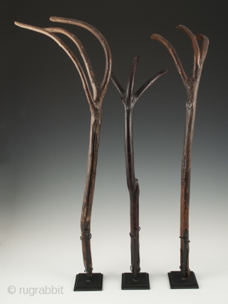 These wonderful wood rakes from Bhutan see to have a life of their own. 18" (45.7 cm) to 21" (53.4) high, early to mid 20th century. The rake on the far right  ...