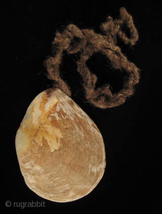 This is a luminous pearl shell pubic cover from the Kimberly area of Western Australia, worn by  men during certain ceremonies. It still has the human hair rope that would wrap  ...