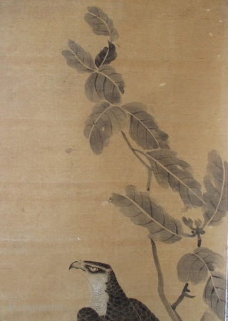 Japanese Antique Scroll Painting of a Hawk, signed Shunkei
Antique Japanese scroll painting of a hawk standing on the branch of an oak tree. The hawk is detailed with great attention to every  ...