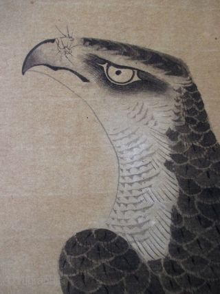 Japanese Antique Scroll Painting of a Hawk, signed Shunkei
Antique Japanese scroll painting of a hawk standing on the branch of an oak tree. The hawk is detailed with great attention to every  ...